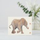 Search for elephants baby postcards Zoo