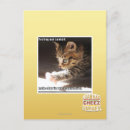 Search for testing postcards I can has cheezburger