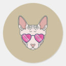 Search for cat with sunglasses stickers Kitty