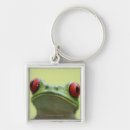 Search for tree frog key rings Outdoors