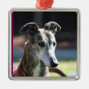 Search for greyhound christmas tree decorations Pets