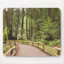 Search for muir woods mouse mats Usa