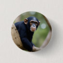 Search for cute monkey badges Wildlife