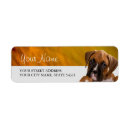 Search for puppy return address labels Cute dog