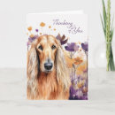 Search for thoughts cards Dogs
