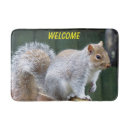Search for grey squirrel Wildlife