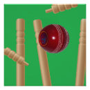 Search for cricket sport posters Ball