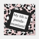 Search for panda magnets Friendship