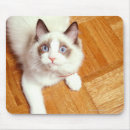 Search for flooring mouse mats Colour image
