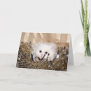 Search for white cat christmas cards Kitty