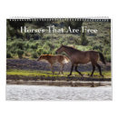 Search for maree photography Mares
