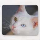 Search for with blue eye mouse mats Fur