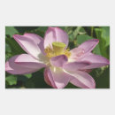 Search for floral lotus stickers Water lily