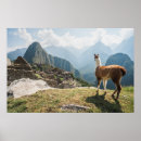 Search for machu picchu posters Landscape
