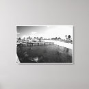 Search for turtle canvas prints Beautiful