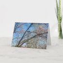 Search for wind chimes Tree