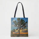 Search for mojave bags San bernardino county