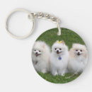 Search for spitz key rings Panting