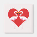 Search for flamingo magnets White