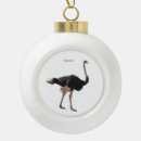 Search for ostrich christmas tree decorations Animal