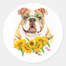 Search for hipster dog stickers Bulldog