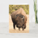 Search for selective focus cards Photography