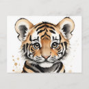 Search for tiger face Portrait