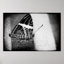 Search for antenna art Macro