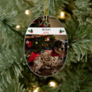 Search for pet ferret christmas tree decorations Ferrets