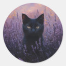 Search for lavender fields stickers Floral