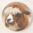 Search for alpaca coasters Cute