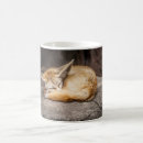 Search for fennec mugs Nature