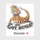 Search for cute bearded dragon stickers Cartoon