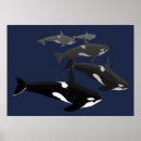 Search for killer whale art Blue