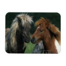 Search for miniatures magnets Equestrian