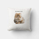 Search for cat sitting cushions Kitten