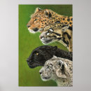 Search for black leopard posters Wildlife