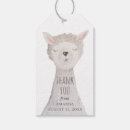 Search for lama Alpaca