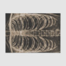 Search for skeleton tissue paper Gothic