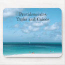 Search for turk mouse mats Sand