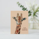 Search for tier postcards Cute