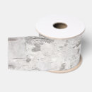 Search for birch bark ribbon Texture