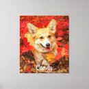 Search for corgis art Herding