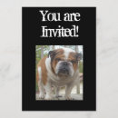 Search for english bulldog invitations Funny