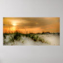 Search for seagull posters Beach