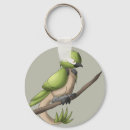 Search for ave key rings Bird