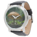 Search for frog watches Amphibian