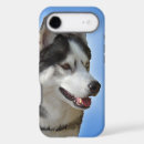 Search for alaskan malamute dog iphone cases Husky
