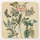Search for larvae Flowers