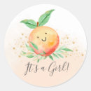 Search for baby girl birth announcement stickers Cute